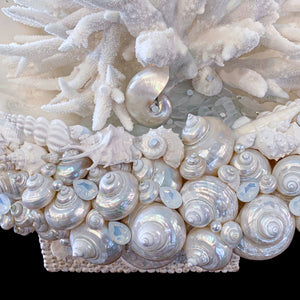 King Clam Shell Centerpiece Featuring Premium Crystal & Natural Sea Life