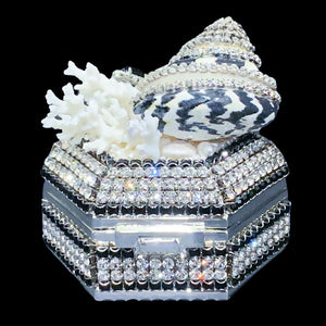 Black & White Hexagon Box Featuring Premium Crystals & Natural Seashells