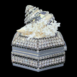 Black & White Hexagon Box Featuring Premium Crystals & Natural Seashells