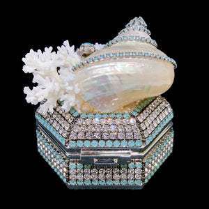 Pacific Opal Hexagon Box Featuring Premium Crystals & Natural Seashells