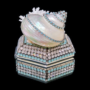 Pacific Opal Hexagon Box Featuring Premium Crystals & Natural Seashells