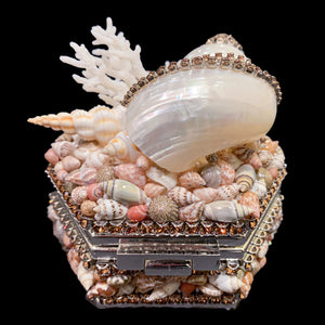 Topaz Hexagon Box Featuring Premium Crystals & Natural Seashells