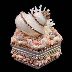 Topaz Hexagon Box Featuring Premium Crystals & Natural Seashells