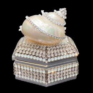 White Opal Hexagon Box Featuring Premium Crystals & Natural Seashells