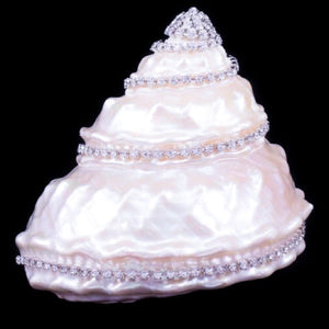 Astrea Undosa Shell Collectible Featuring Clear Premium Crystal