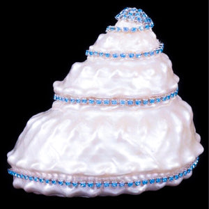 Astrea Undosa Shell Collectible featuring Aquamarine Premium Crystal