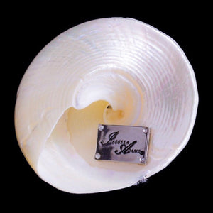 Troca Seashell Collectible Featuring Premium Crystal